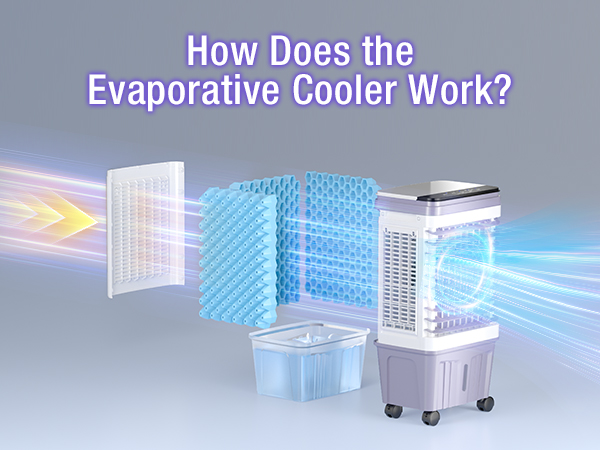 Amazon.com: Portable Air Conditioners, 2500 CFM Swamp Cooler