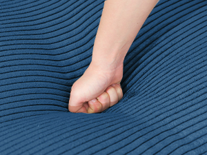 Rebound Foam Cushion