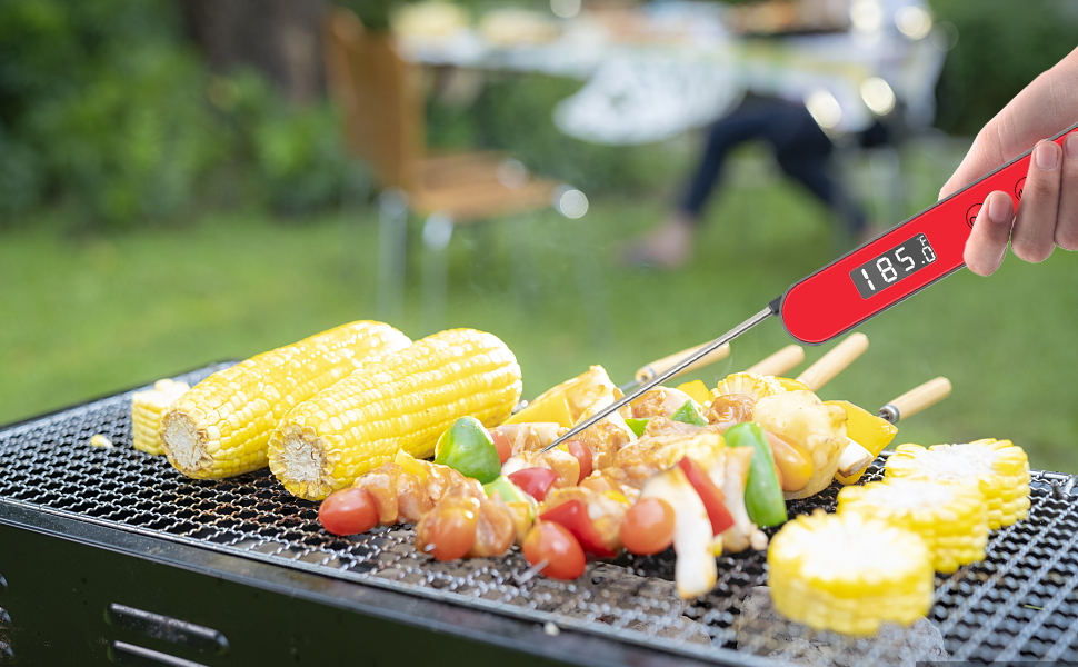 Digital Food Thermometer