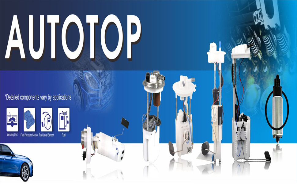 CUSTOM Genuine 255LPH High Flow Electric Intank Fuel Pump With