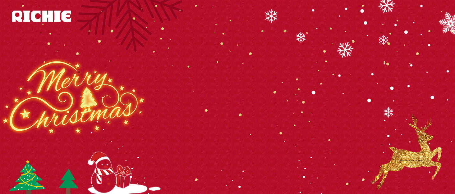 Christmas Tree Storage Bag