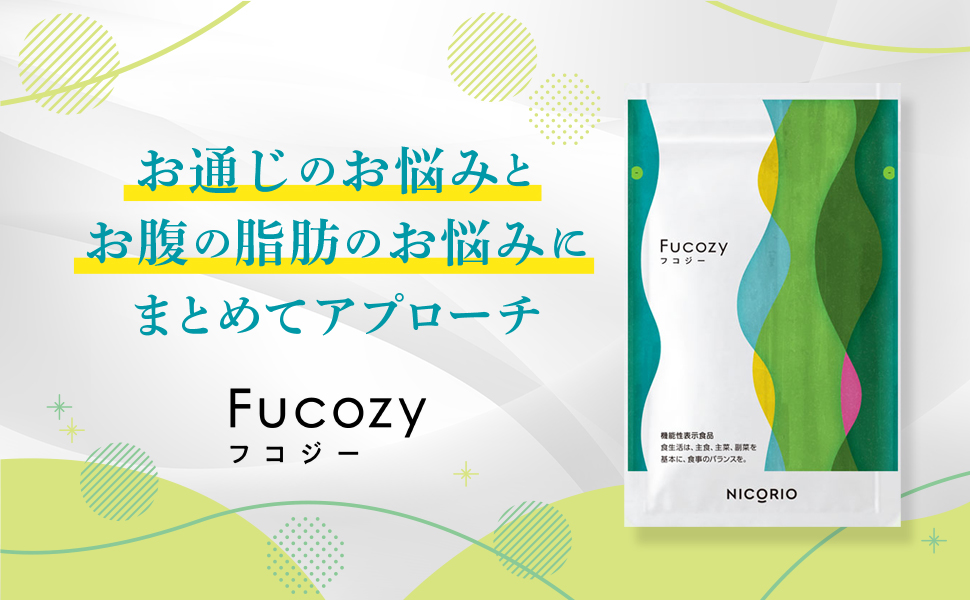 NICORIO Fucozy ニコリオ フコジー 93粒入り × １０袋セット NICORIO ニコリオ Fucozy（フコジー）93粒入り × 10袋セット