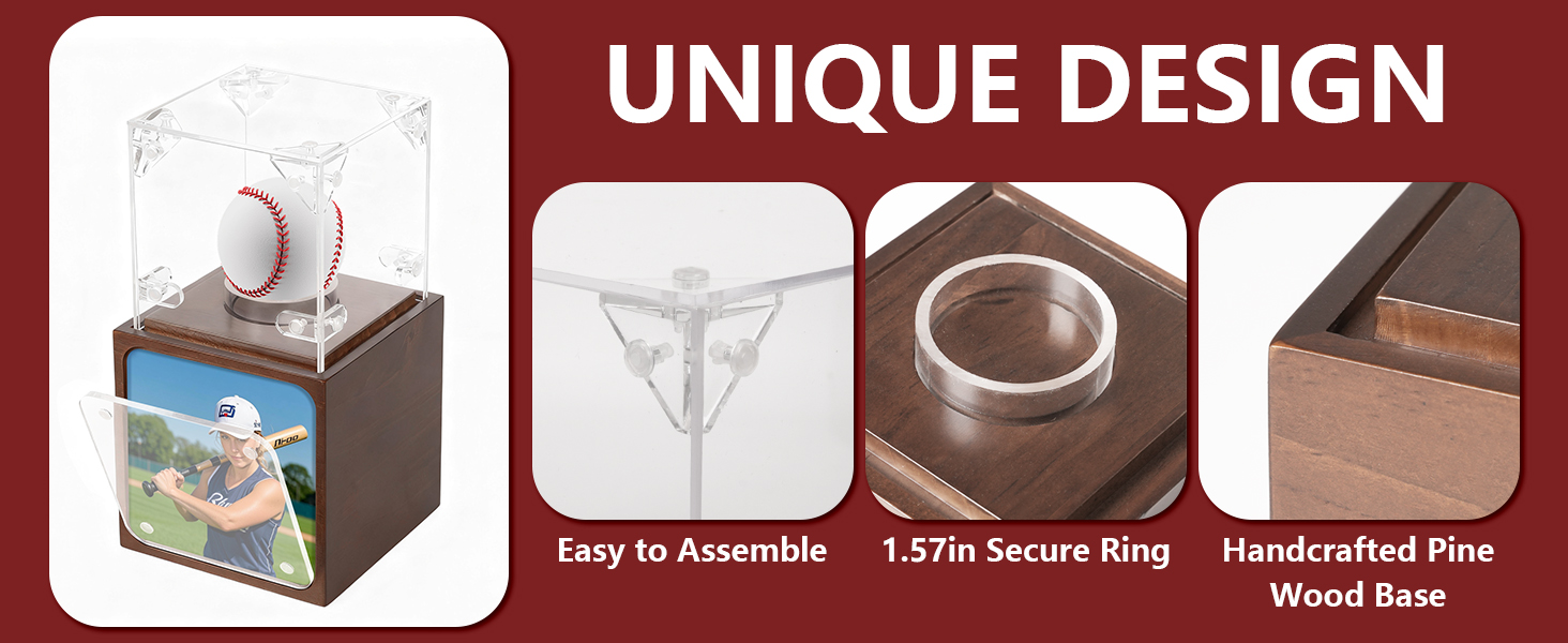 Baseball Display Case