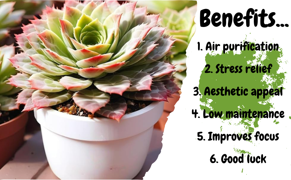 benefits