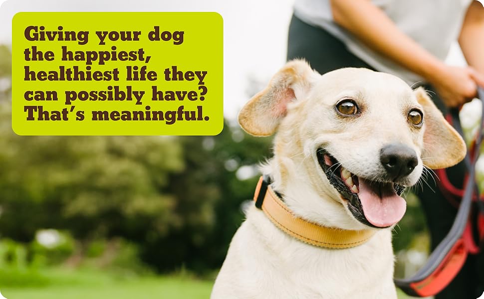 perros pumpkin enzymes enzyme bites anti treatment small paw pets organic poop vitamins vet chewable