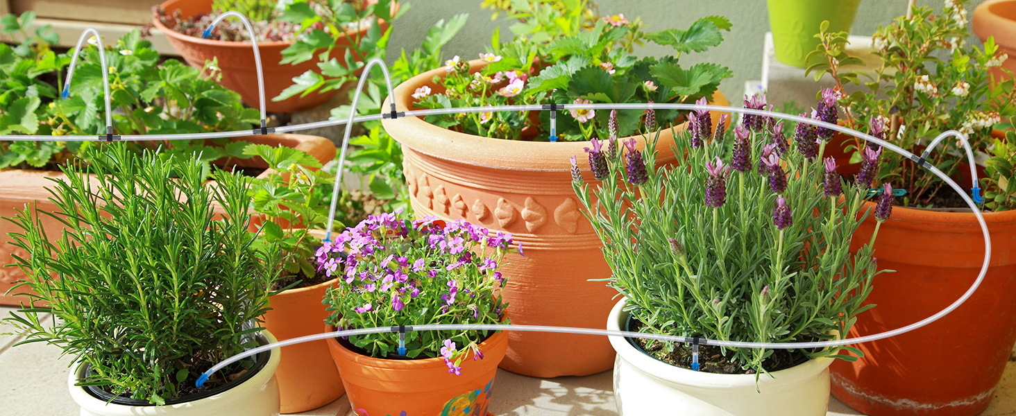 Support pour 15 pots