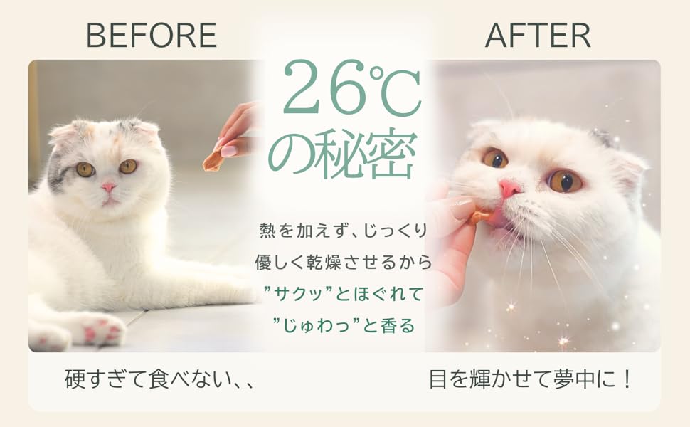 白猫様用 L L Lサイズ 白猫ちゃん 猫 ふわふわ 置物 受注商品 - miaの羊毛