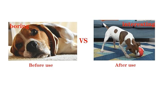 dog toys to keep them busy，dog toys for aggressive chewers，separation anxiety toys for dogs