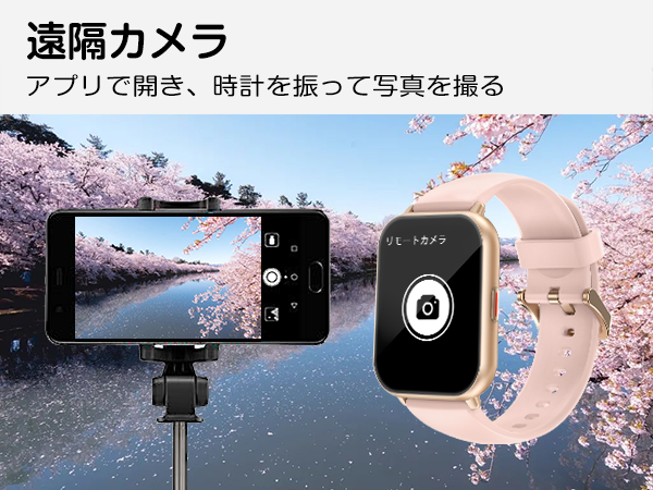 遠隔カメラ
