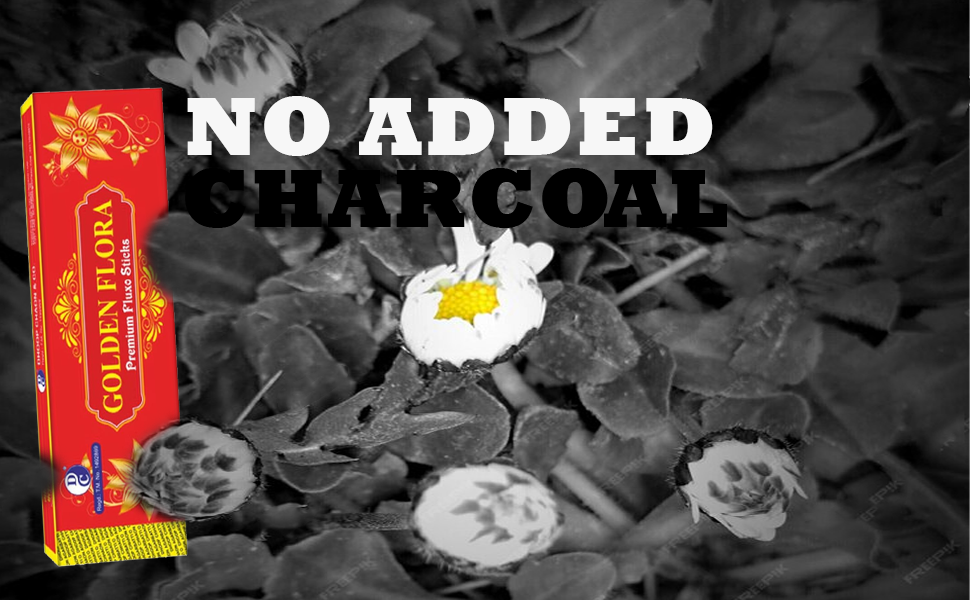 no caharcoal