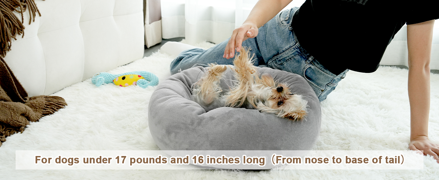 For dogs under 17 pounds and 16 inches long（From nose to base of tail）
