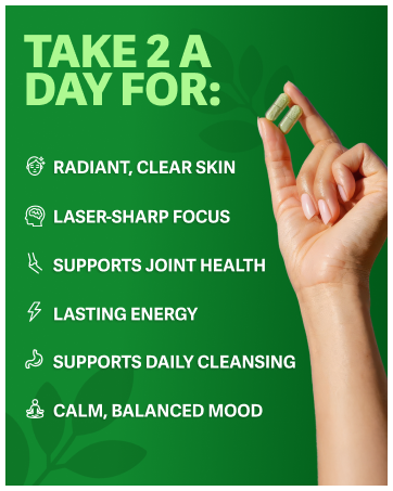 rosabella moringa capsules morning antioxidant superfood energy skin health amino acid powder
