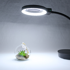 led magnifying glass