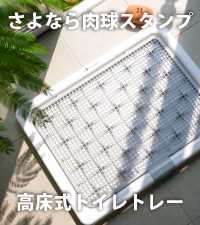 Amazon | INULABO(イヌラボ) 犬 トイレ トレー 高床式 大型犬