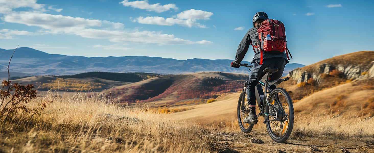 ebike