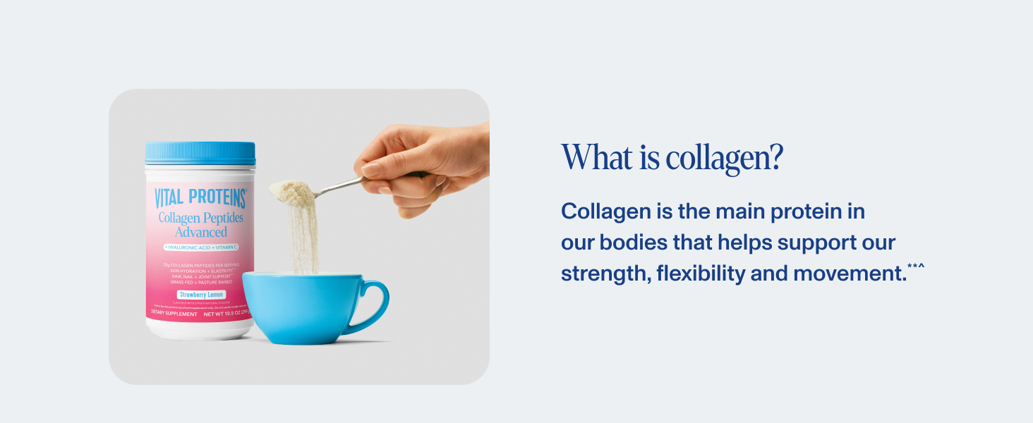 Collagen is the main protein in our bodies that helps support our strength and flexibility