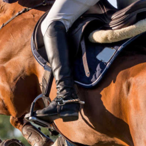 Zinc Alloy Narrow Spur