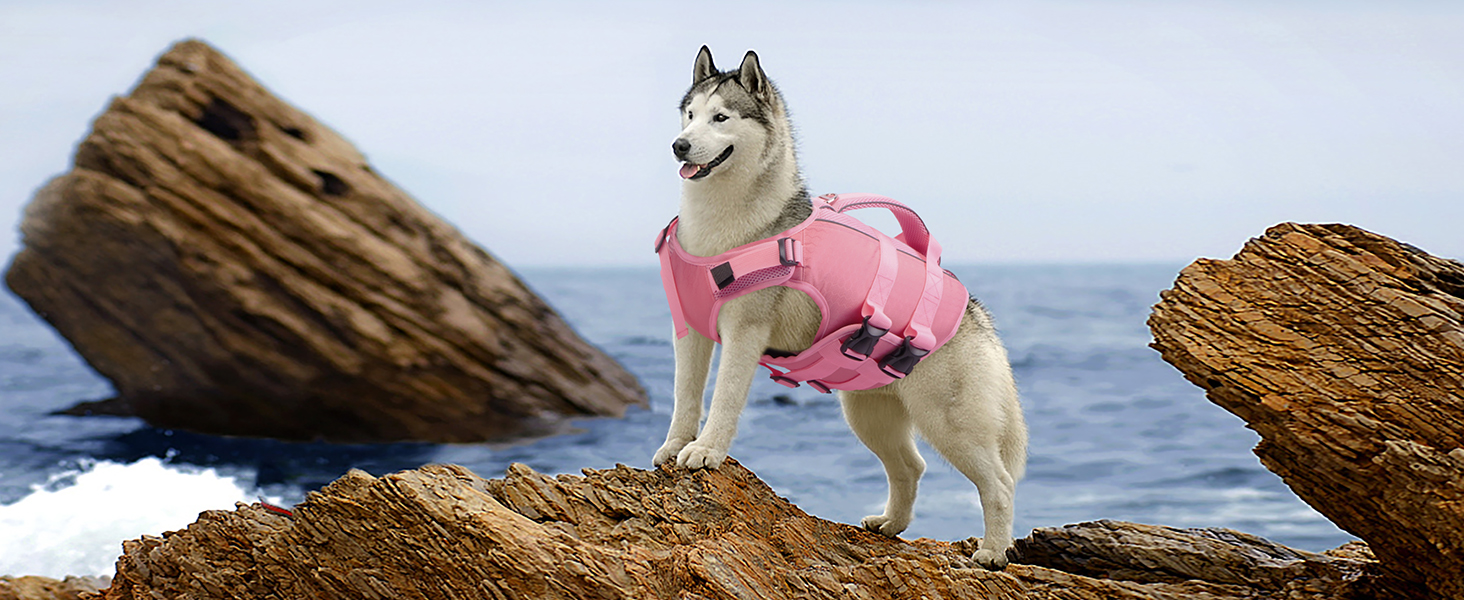 Dog Life Jacket