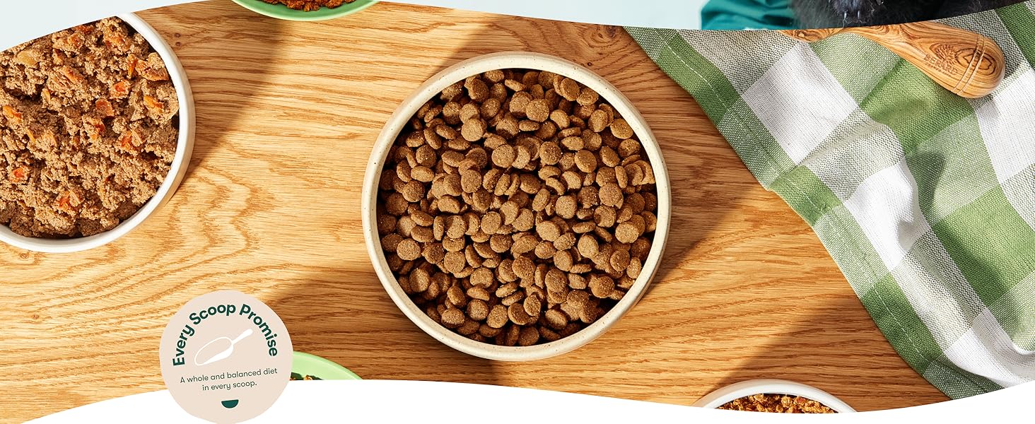 image showing a table with a bowl of kibble and other toppings around it