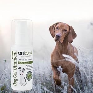 dog gel