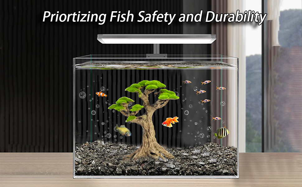 fish tank Cliff Bonsai Trees