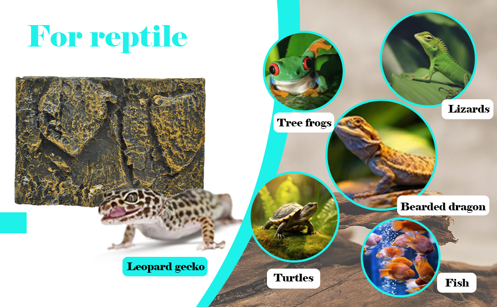 Reptile Background for Terrarium, 3D Rock Stone Background Decorations
