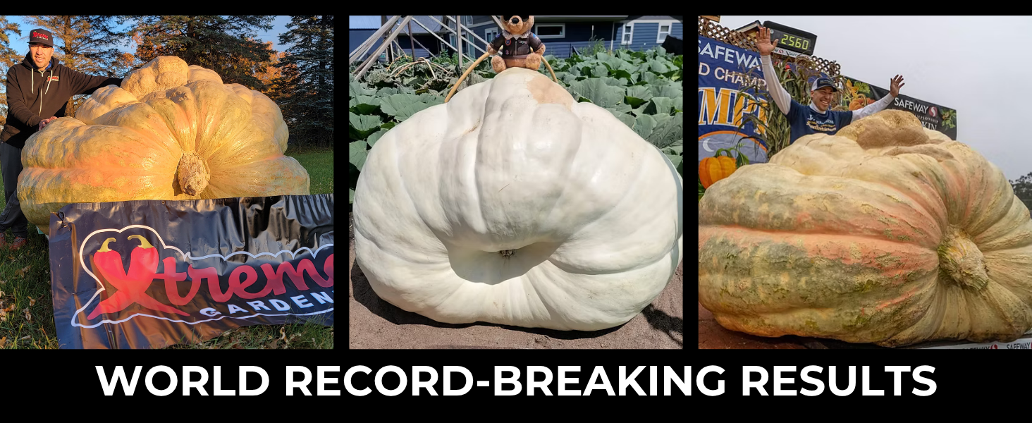 Large manufacture image 7