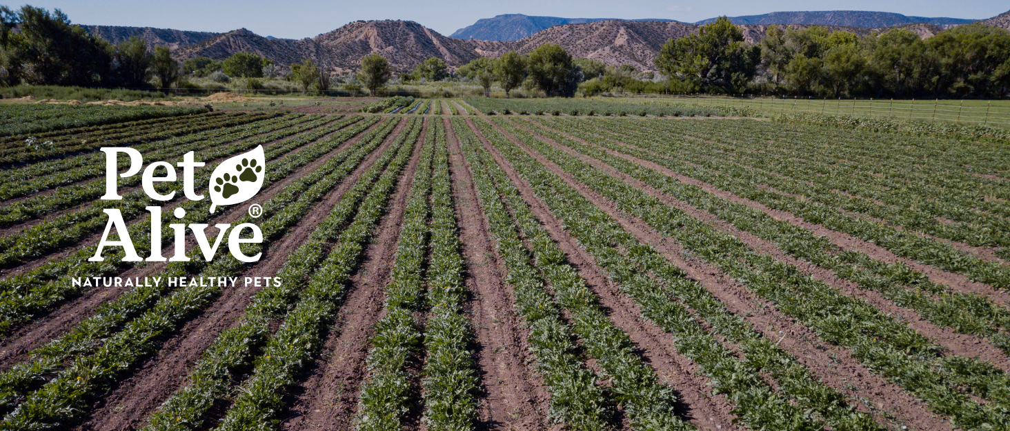 natural products, herbal products, natural products for dogs, natural products for cats