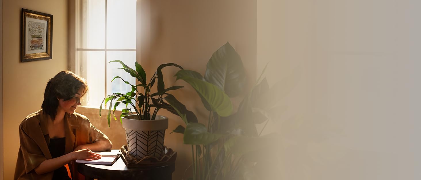 Transform Any Reading Space with Vintage Charm