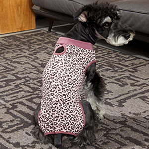 dog surgery recovery suit female