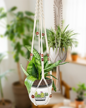 hanging planter