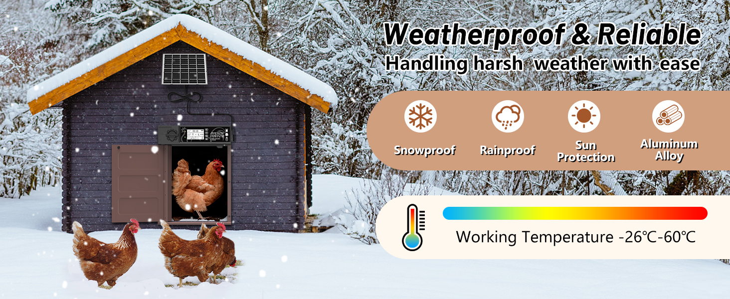 Automatic Chicken Coop Door Solar Powered Auto Chicken