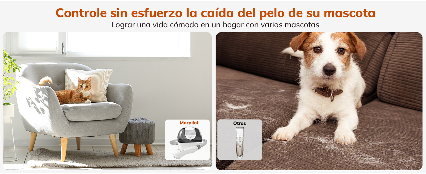 aspiradora para pelos de perro