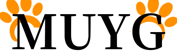 Tall Cat Scratching Post