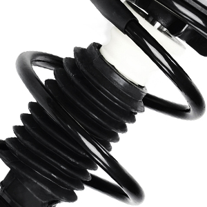 Front Complete Coil Spring Strut