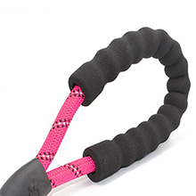dog lead