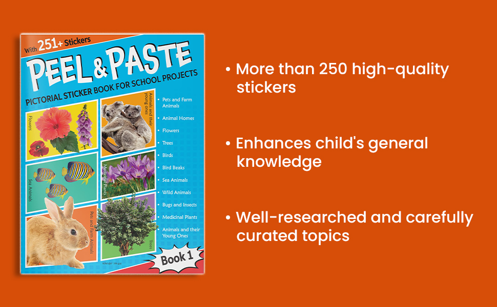 Peel & Paste - Pictorial Sticker Book For School Projects - Book 1