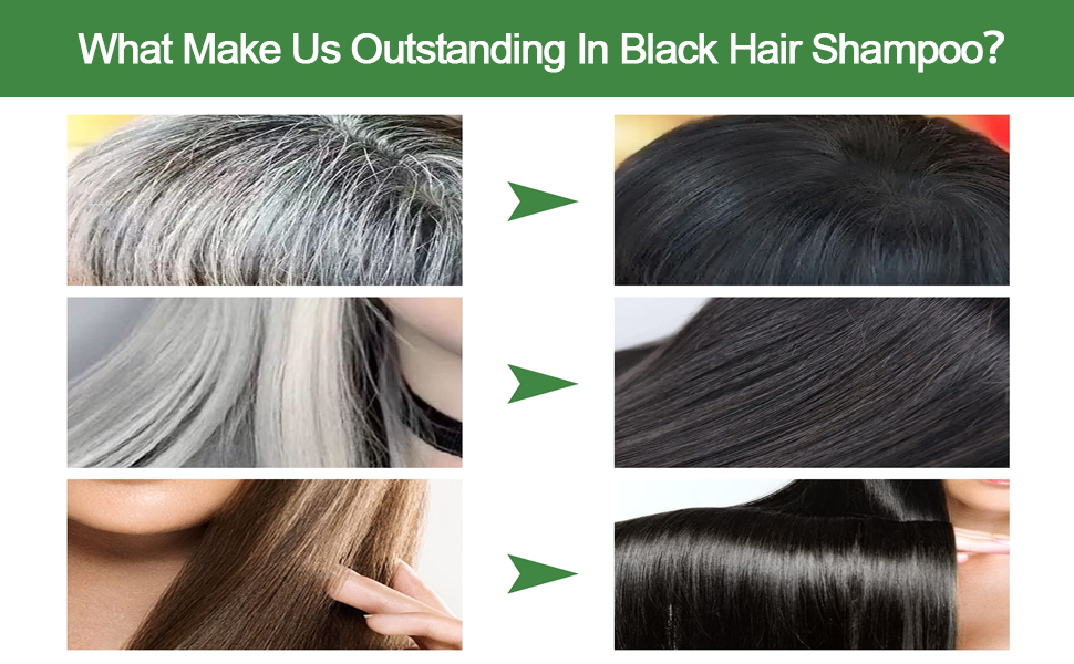 Black Hair Dye Shampoo