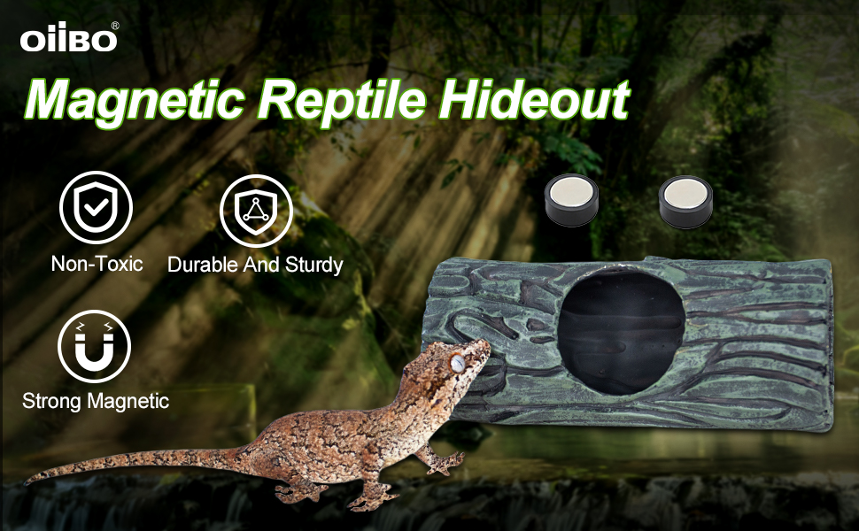 Reptile Hideout