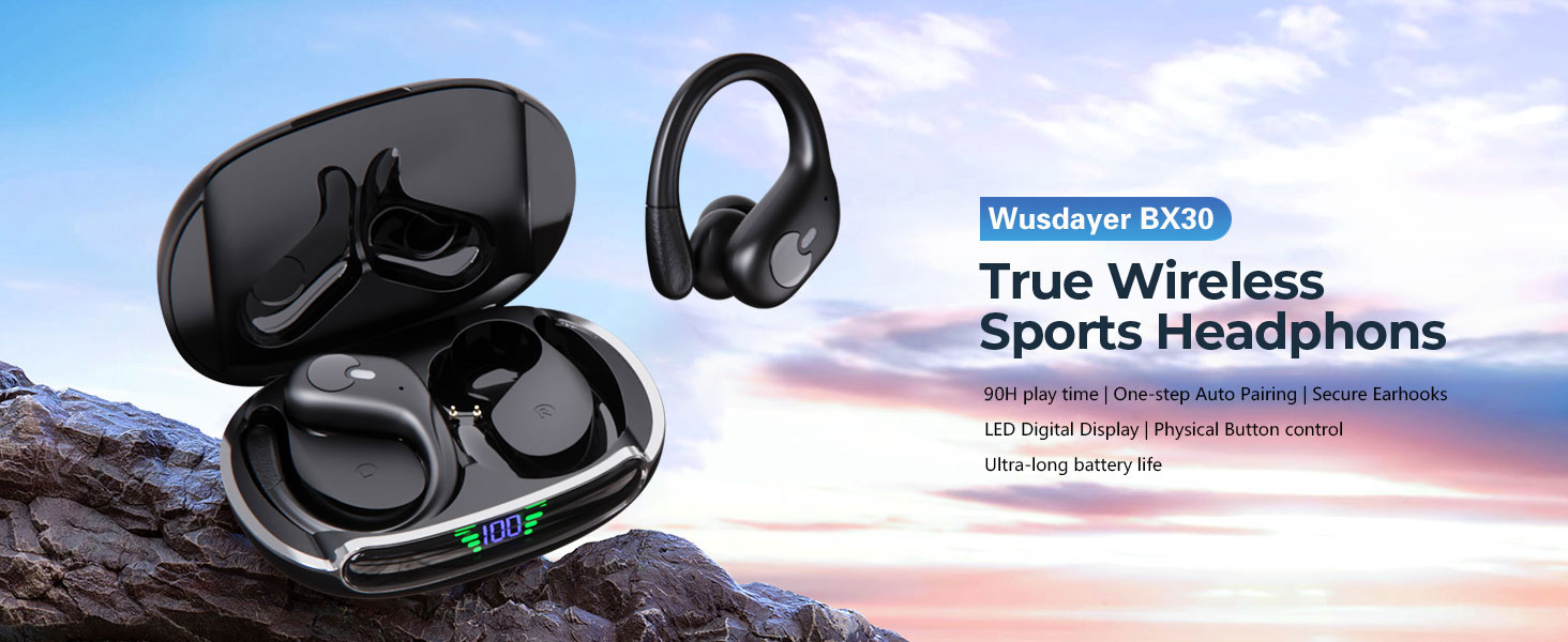 ear buds