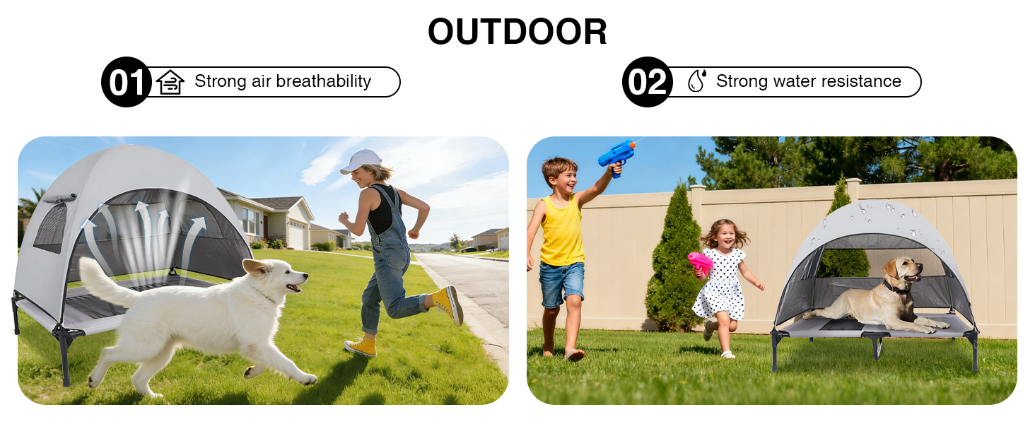 Medium dog bed canopy