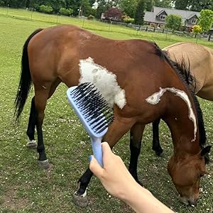 HORSE GROOMING BRUSH