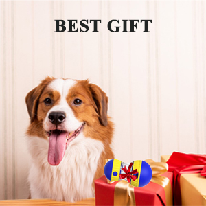 perfect gift for lovely dogs