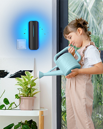 fly trap indoor for home