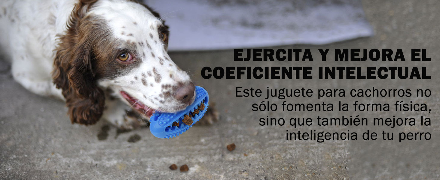 Juguetes Para Perros