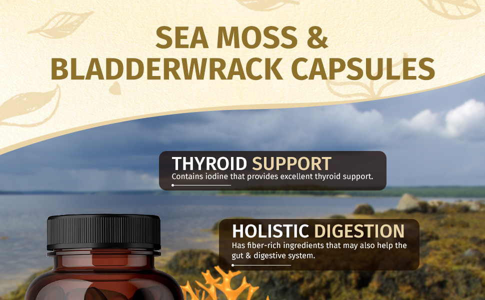 Herbamama Sea Moss & Bladderwrack 100 Capsules