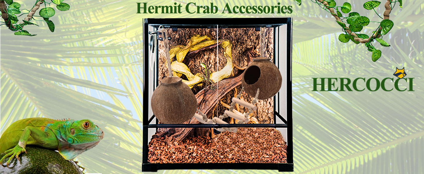 Hermit Crab Accessories