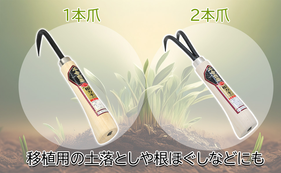 新むきもの技法 全10巻 新品未開封 草林舎 2025年最新】むきもの特集！多様な商品を取り扱い中 - Yahoo