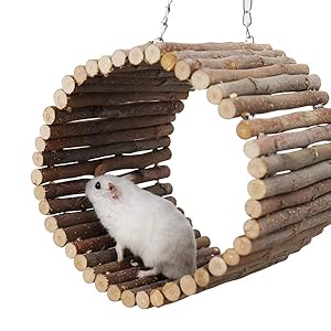 Bird Parrot Swing Toys