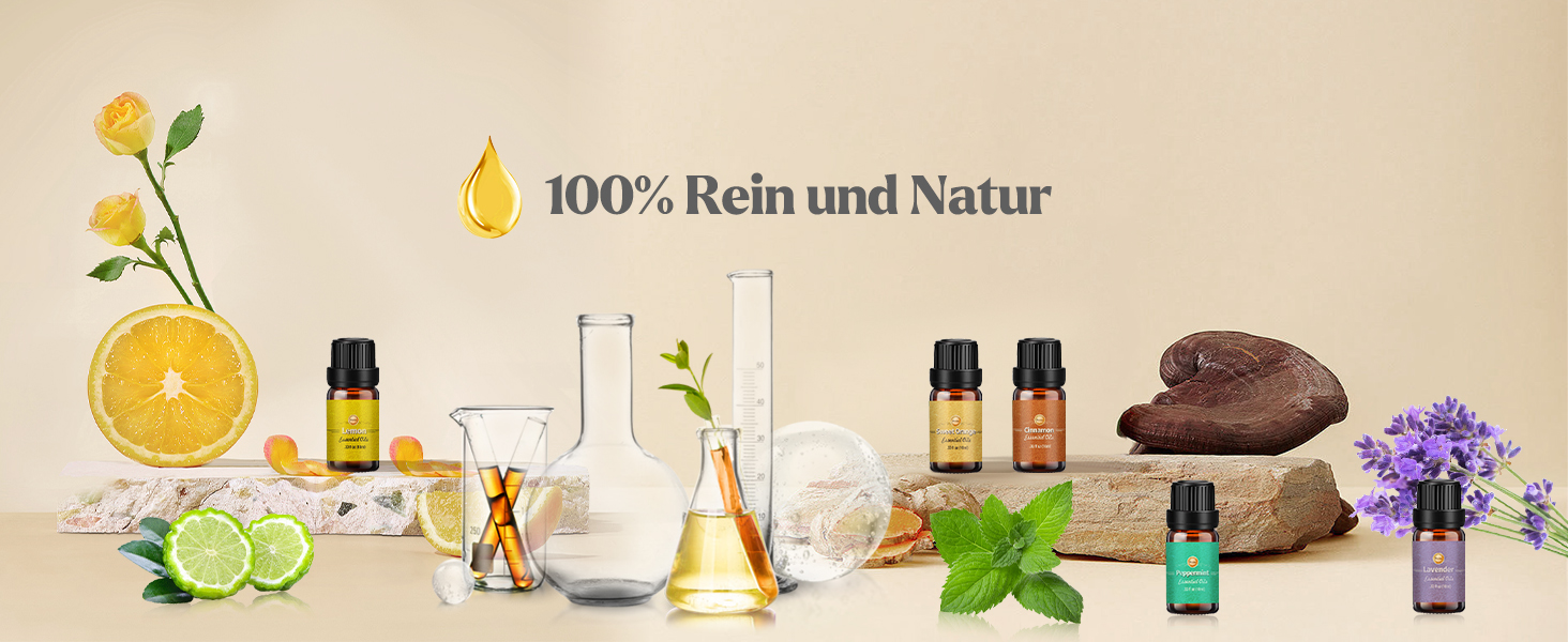 Sortiment an ätherischen Ölen, Zitrusfrüchten, Kräutern und Spa-Steinen auf beigem Hintergrund. Glasflaschen und Behälter mit verschiedenen farbigen Flüssigkeiten. Der Text lautet „100% Rein und Natur“.